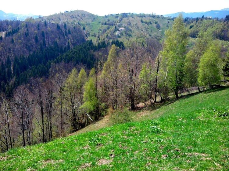 Teren Construcții intravilan de 14000 mp, în Bran