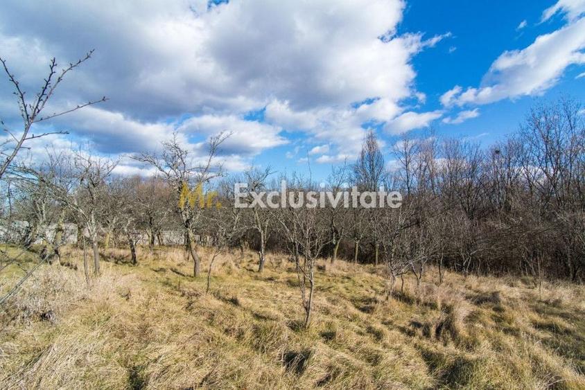 Casă cu 3 camere cu Teren 4145 Mp în Vedea