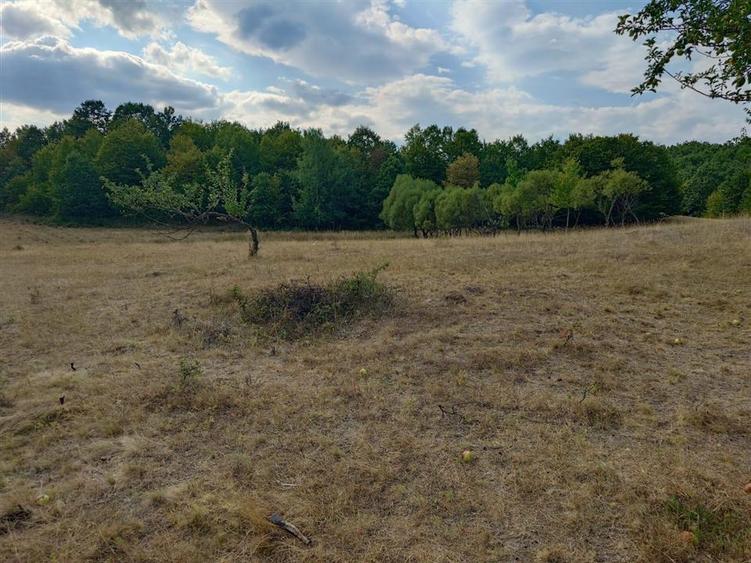 Teren agricol extravilan de 9059 mp, în Exterior Est