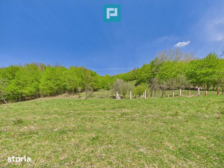 Teren de 6837 mp, în Luncoiu de Jos