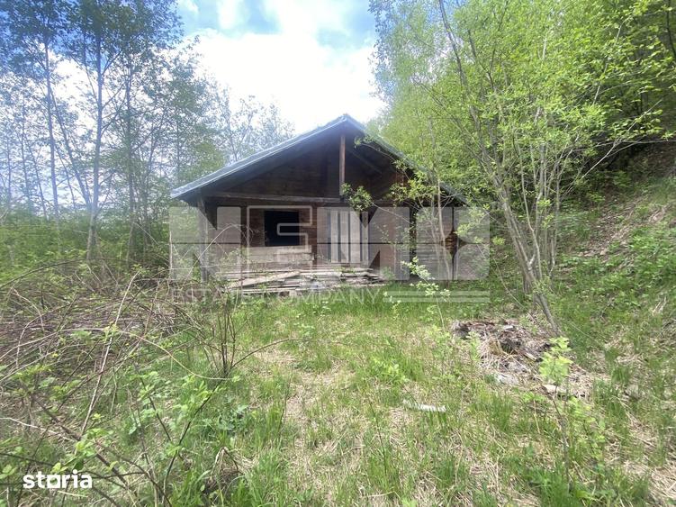 Teren de 3100 mp, în Frasin