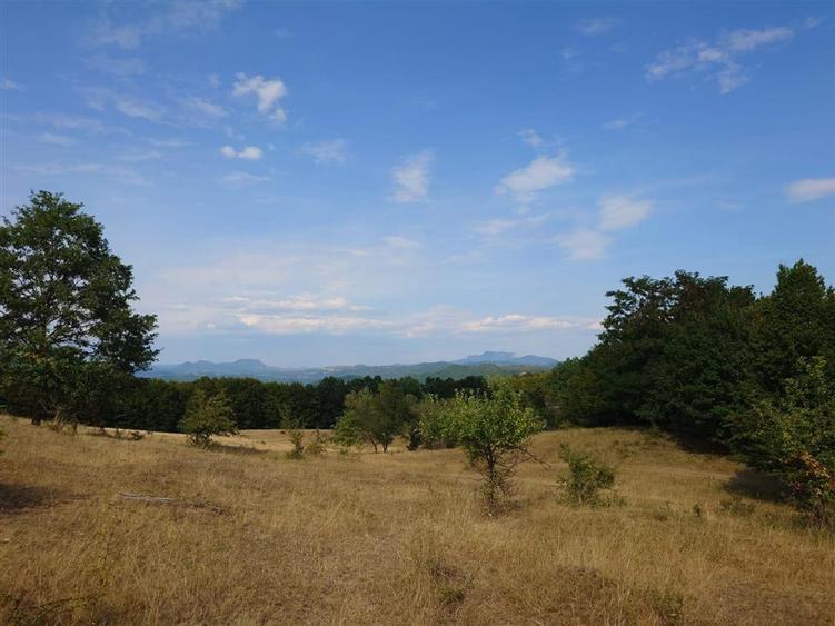 Teren agricol extravilan de 9059 mp, în Exterior Est