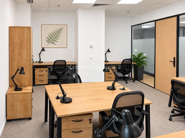 Birouri de inchiriat - 350 Euro / workstation | Pret promotional!
