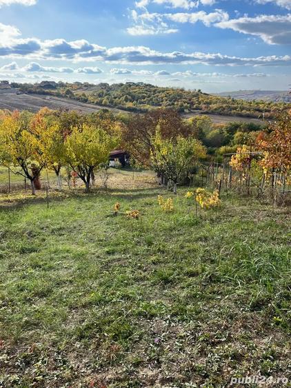Teren de 1130 mp, în Săldăbagiu de Munte