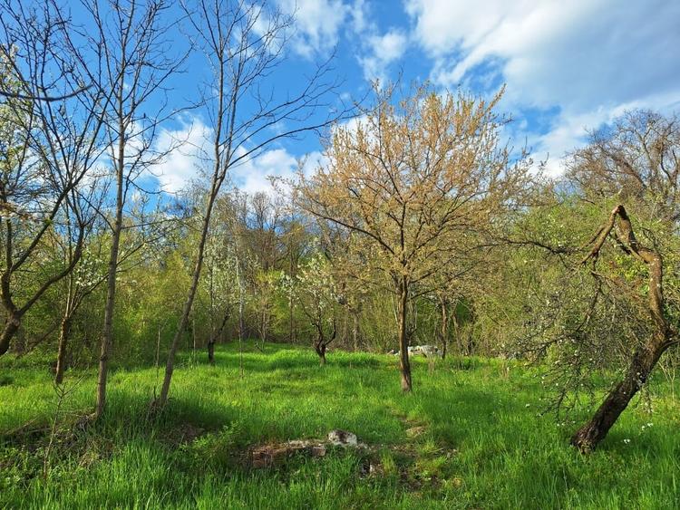 Casă individuală cu 5 camere cu Teren 5950 Mp în Câmpina