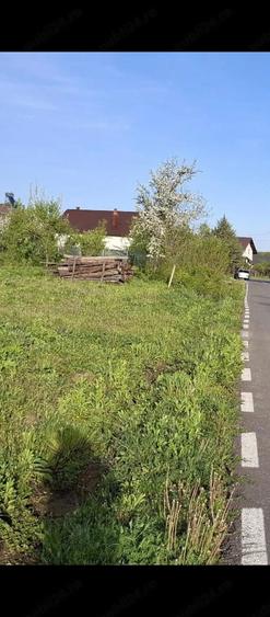 Teren de 12000 mp, în Moșoaia