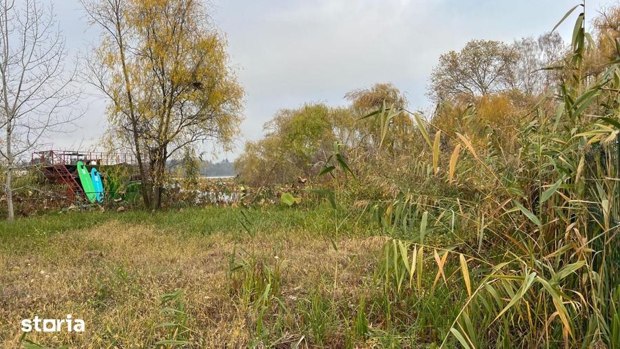 Teren de 8000 mp, în Snagov
