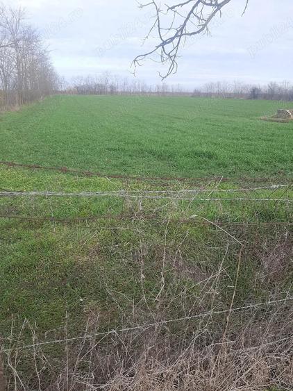 Teren de 3700 mp, în Obad
