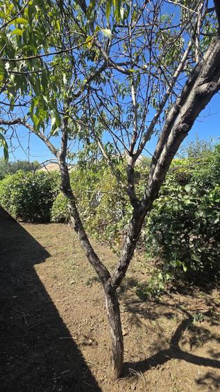 Casă cu 5 camere cu Teren 747 Mp în Gropeni