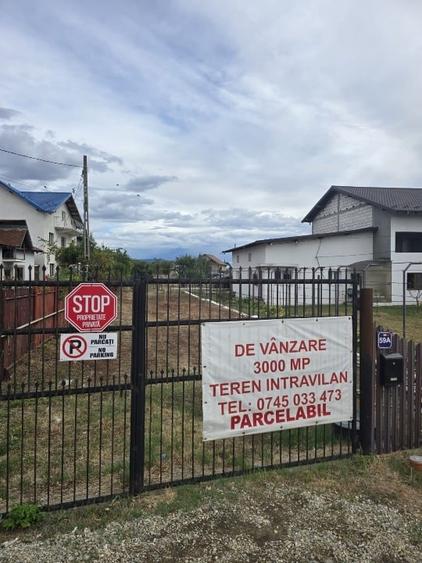 Teren Construcții intravilan de 3116 mp, în Geamăna