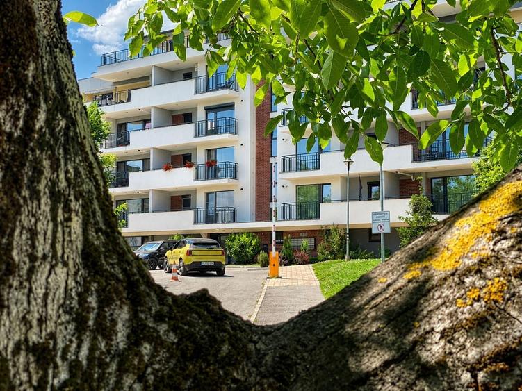 Apartament cu 2 camere decomandat în Turnișor