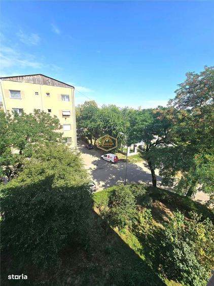 Apartament cu 2 camere decomandat în Botizului