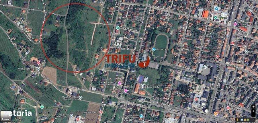 Spațiu comercial, în Cetate