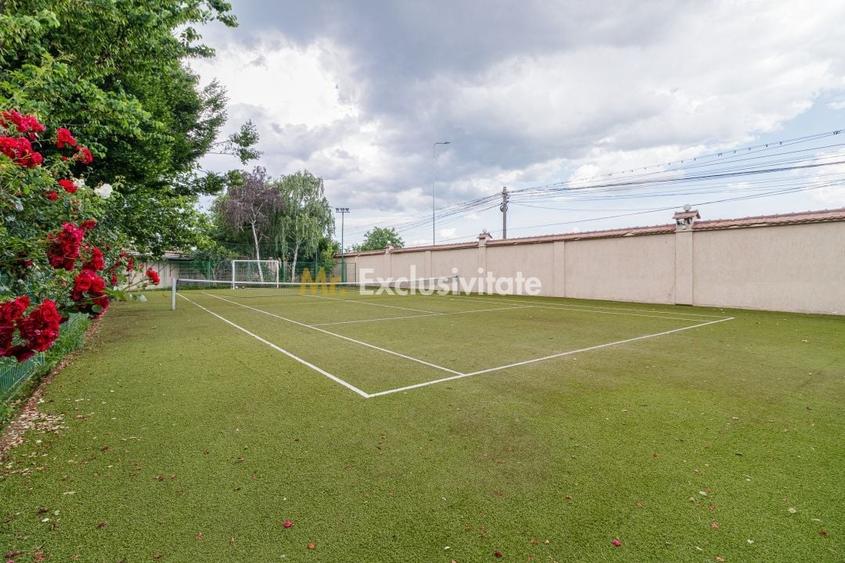 Casă individuală cu 19 camere cu Piscina în Pantelimon