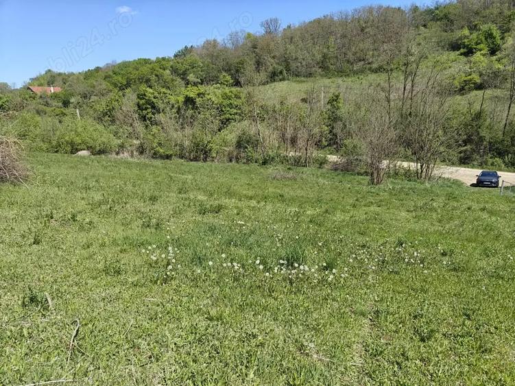 Teren intravilan 1400 m2 in Curteni, Santana de Mure? - la doar 10 minute de centrul Targu Mures - 3