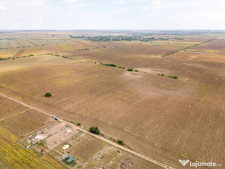 DASCALU TEREN INTRAVILAN 11300 MP, INVESTITIE! - Dascalu (Bucuresti-Ilfov) - 6