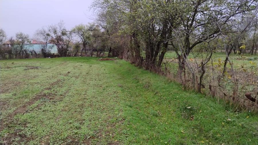 Teren Construcții intravilan de 3000 mp, în Petrești