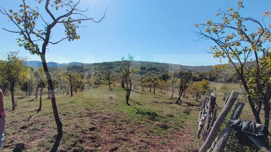 Teren agricol extravilan de 7382 mp, în Valea Lungă-Cricov