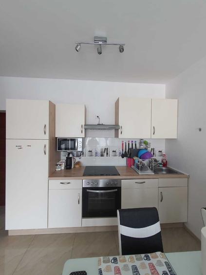 Apartament de inchiriat Sibiu doamna stanca - 3