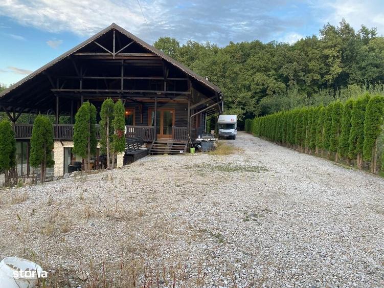 Vanzare teren 3000 mp, cabana, zona D D Rosca, Faget - 2