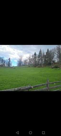Teren de vanzare - 4
