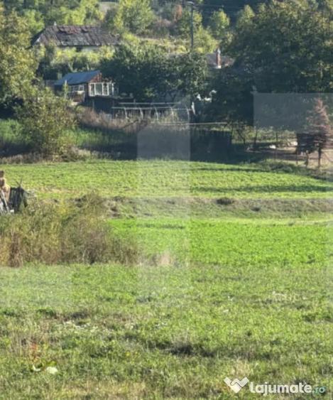 Teren intravilan 1.459 mp, Manole?ti, Boto?ani, ideal pent - Manolesti (Botosani) - 1