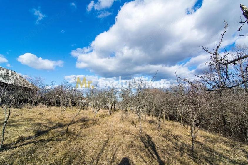 Casă cu 2 camere cu Teren 4145 Mp în Vedea