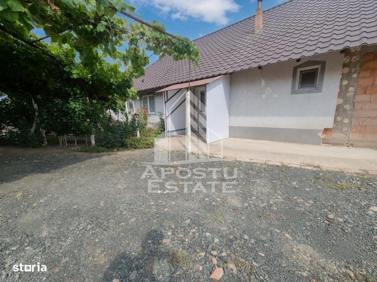 Se vinde casa in Teremia Mare, renovata, teren generos de 1.439 mp - 9