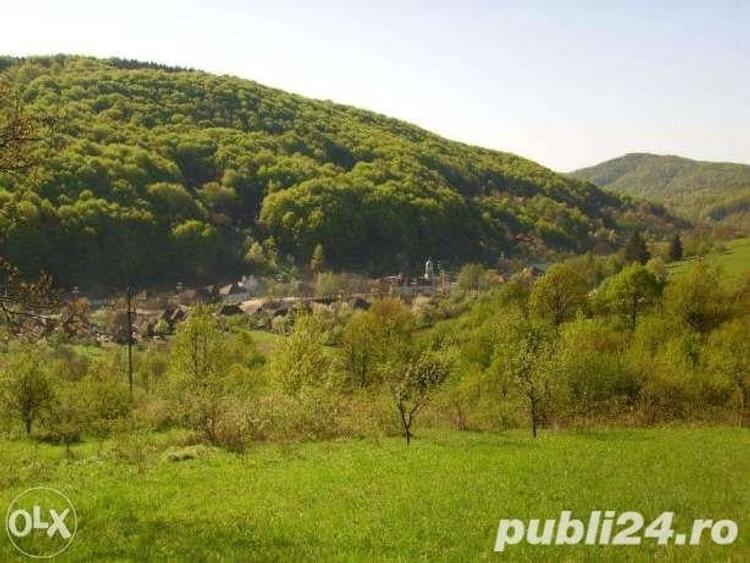 Teren de 18000 mp, în Moneasa