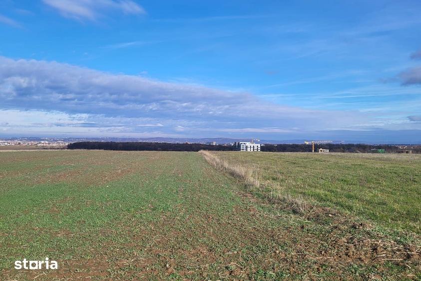 Teren intravilan pentru investi?ie Cordau, Sanmartin - 2