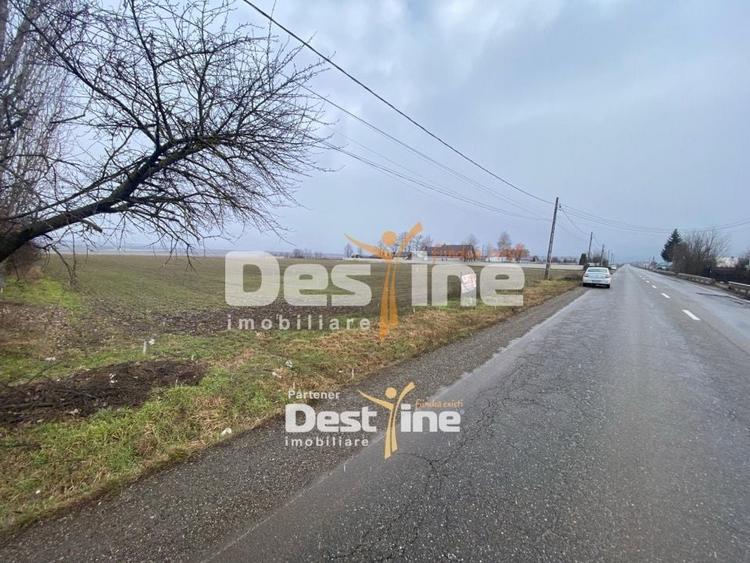 Teren Construcții intravilan de 7200 mp, în Doina