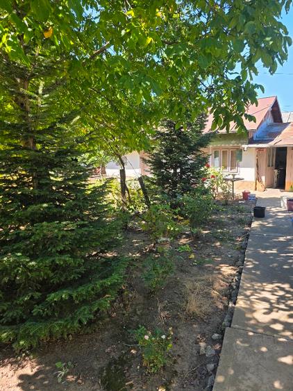 Casă cu 4 camere cu Teren 2500 Mp în Cudalbi