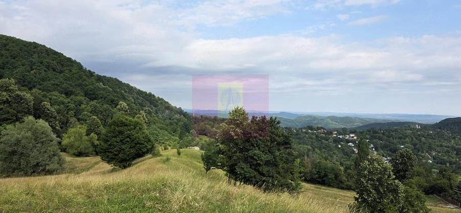 Casă cu Teren 1500 Mp în Telega