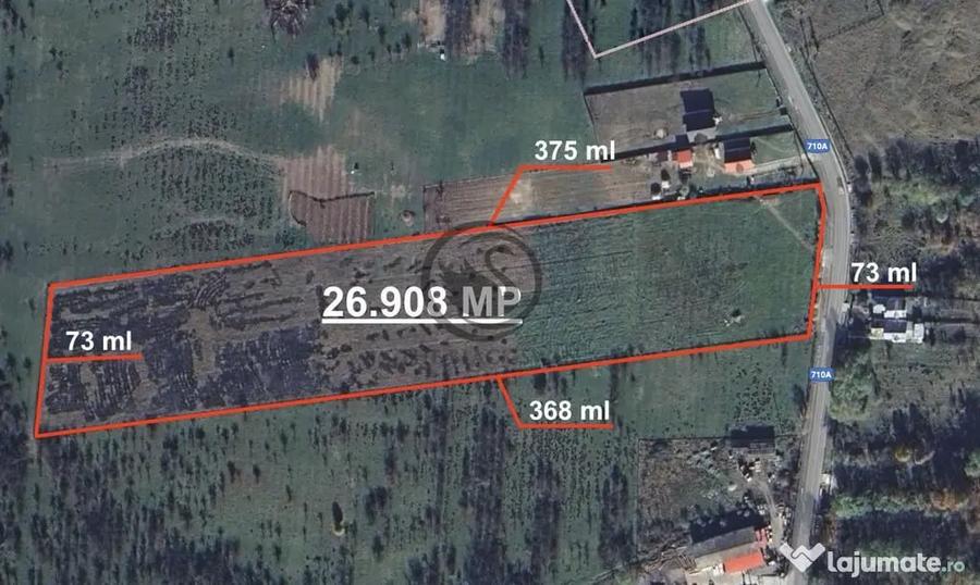Teren de 26908 mp, în Iedera