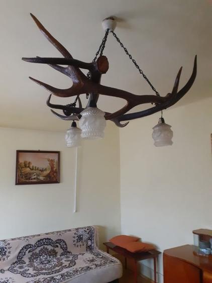 Casă individuală cu 3 camere cu Teren 1541 Mp în Pogăceaua