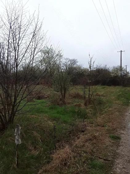 Teren de 3200 mp, în Cocu