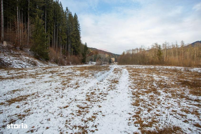 Teren de 49000 mp, în Borca