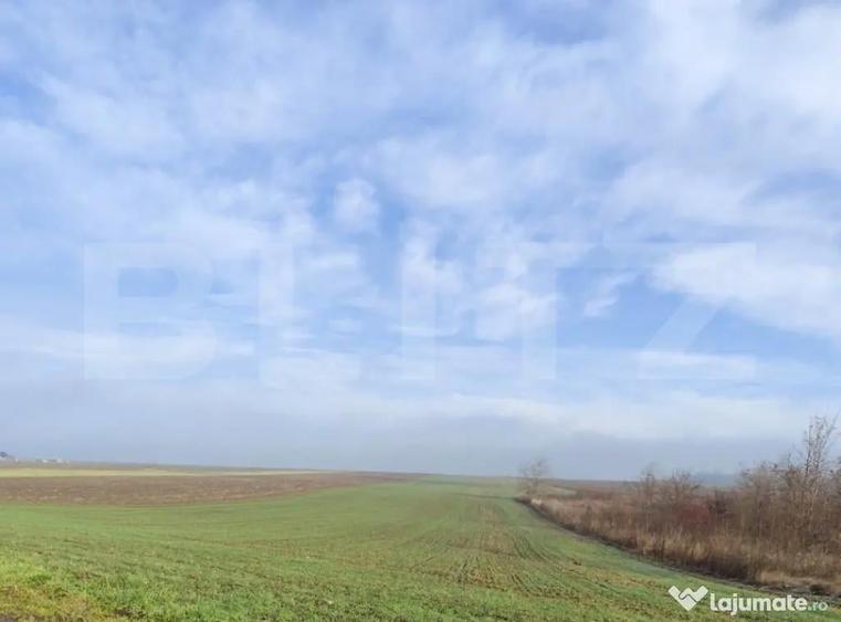 Teren de 15000 mp, în Miroslava