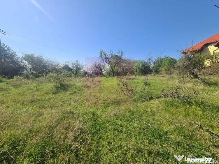 Teren de 2500 mp, în Voila