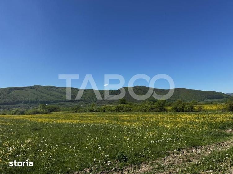 Teren intravilan in Poplaca cu vedere la munti pretabil cabana - 1