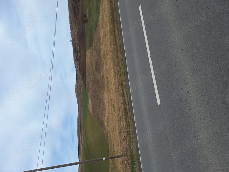 Teren de 5800 mp, în Gădălin
