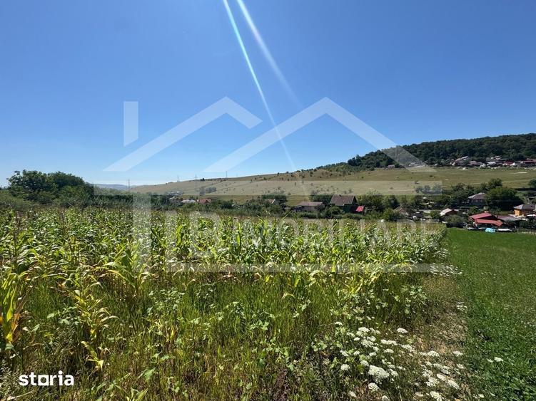 Teren, 1734mp, intravilan, zona Remetea - 1