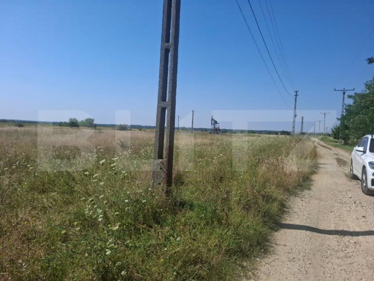 Teren de 4400 mp, în Dragomirești