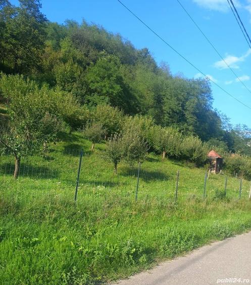 Teren de 7000 mp, în Voia