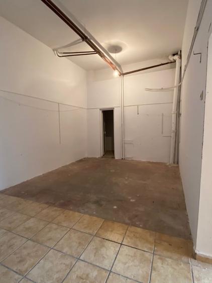Spatiu comercial, 93 mp, Rovine - 5