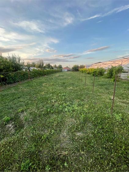 Casă cu 4 camere cu Teren 2500 Mp în Berceni