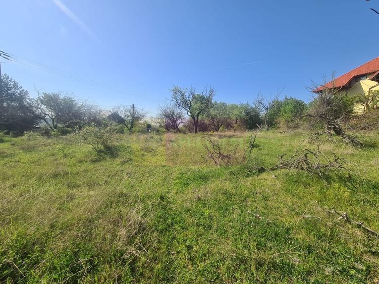 Teren Construcții intravilan de 2500 mp, în Voila
