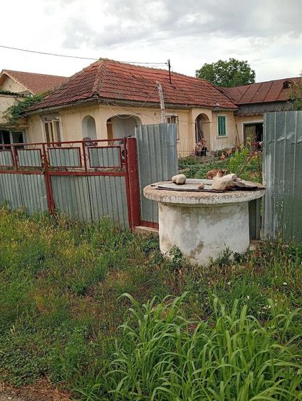 Casă cu Teren 2000 Mp în Mirceștii Noi