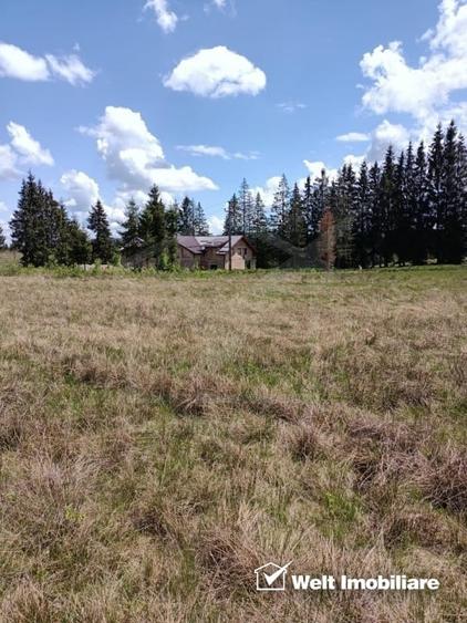 Teren Construcții intravilan de 4851 mp, în Râșca