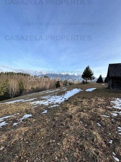 Teren 2,5 hectare in Simon, comuna Bran